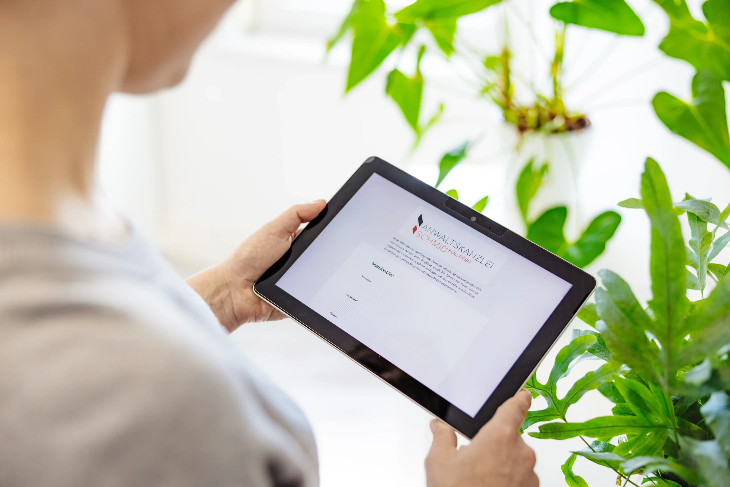 e.syOne, der Online-Mandantenzugang der Kanzlei Schmid Hand hält Tablet mit e.syOne Login neben Grünpflanzen im Büro